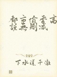 都市偷香高手小说无删减