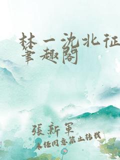 林一沈北征小说笔趣阁