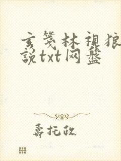 玄笺林视狼顾小说txt网盘