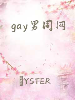 gay男同网