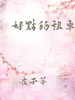 好点的租车公司