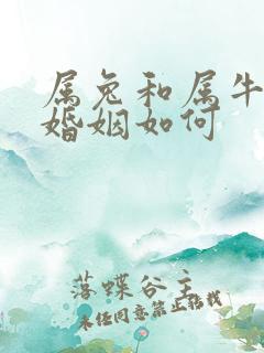 属兔和属牛相配婚姻如何