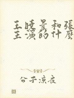 王晓晨和张嘉译主演的什么电视剧