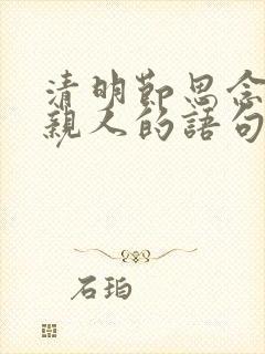 清明节思念已故亲人的语句