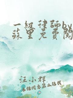 一级律师by木苏里免费阅读