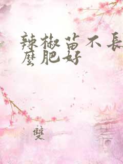 辣椒苗不长冲什么肥好