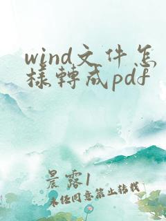 wind文件怎样转成pdf