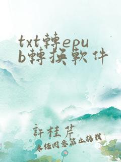 txt转epub转换软件