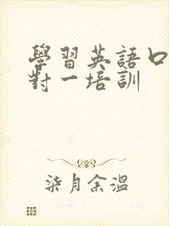学习英语口语一对一培训