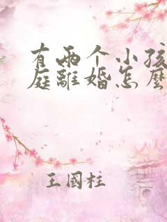 有两个小孩的家庭离婚怎么判