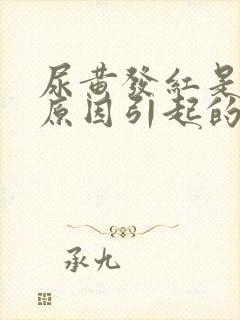 尿黄发红是什么原因引起的
