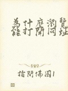 为什么浏览器不能打开网址