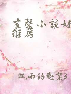 有声小说好听的推荐