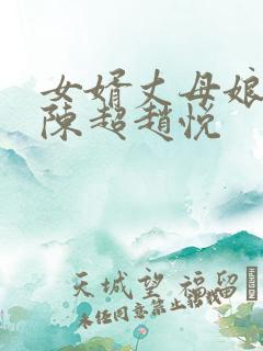 女婿丈母娘小说陈超赵悦