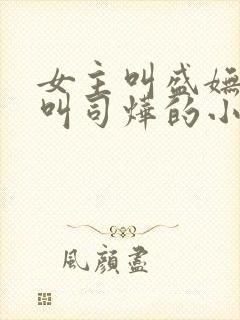 女主叫盛妩男主叫司烨的小说