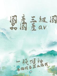 国产三级国产精品国产av