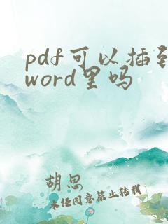 pdf可以插到word里吗