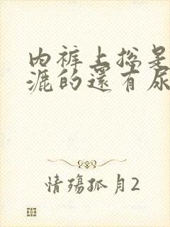 内裤上总是湿漉漉的还有尿骚味怎么回事