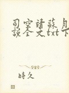司空靖苏月汐小说全文txt下载