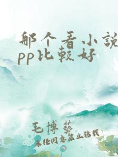 那个看小说的app比较好