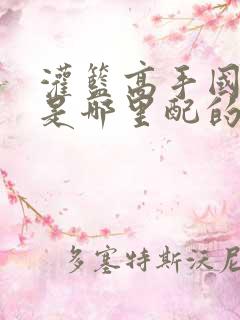 灌篮高手国语版是哪里配的音