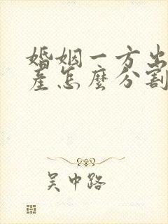 婚姻一方出轨财产怎么分割