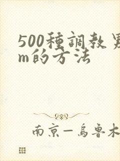 500种调教男m的方法