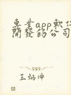 专业app软件开发的公司