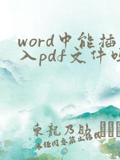 word中能插入pdf文件吗