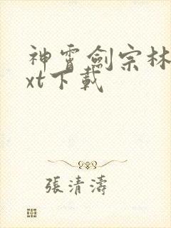 神霄剑宗林枫txt下载