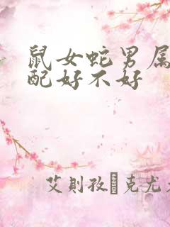 鼠女蛇男属相婚配好不好