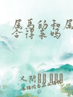 属马的和属龙的合得来吗