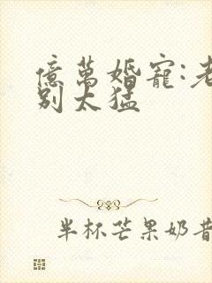 亿万婚宠:老公别太猛
