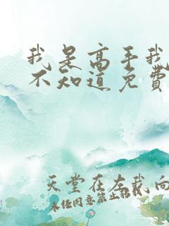 我是高手我怎么不知道免费阅读小说