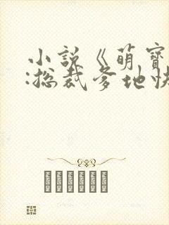小说《萌宝来袭:总裁爹地快认错》