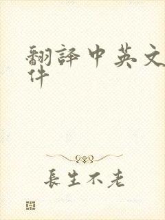 翻译中英文的软件