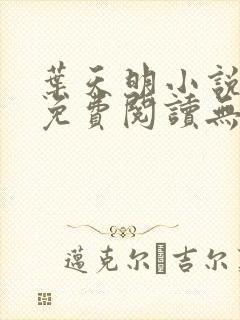 叶天明小说全文免费阅读无弹窗最新章节