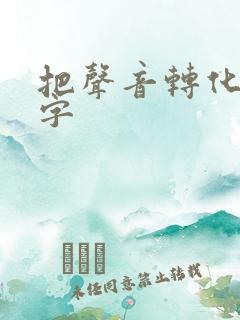 把声音转化成文字