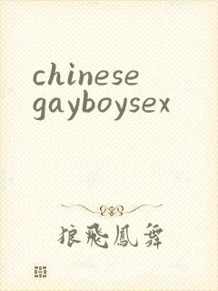 chinesegayboysex