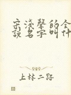 宋浅声的全部小说名字叫什么