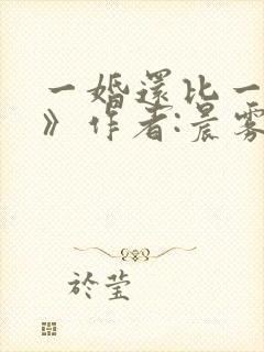 一婚还比一婚高》作者:晨雾的光