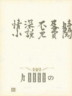 情深不及时光晚小说免费阅读