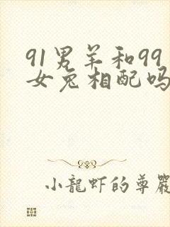 91男羊和99女兔相配吗