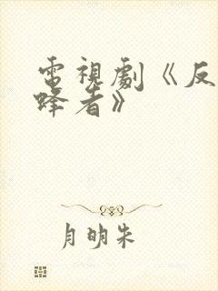 电视剧《反诈猎蜂者》