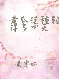 黄瓜从种到结果得多少天