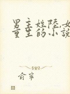 男主姓陆,女主重生的小说