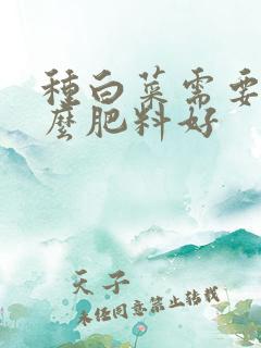 种白菜需要用什么肥料好