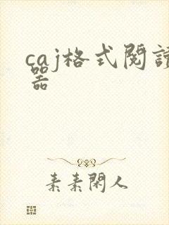 caj格式阅读器