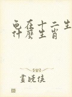龟在十二生肖属什么生肖