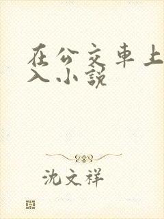 在公交车上被插入小说